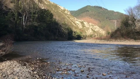Stream close up Stock Footage 194845464