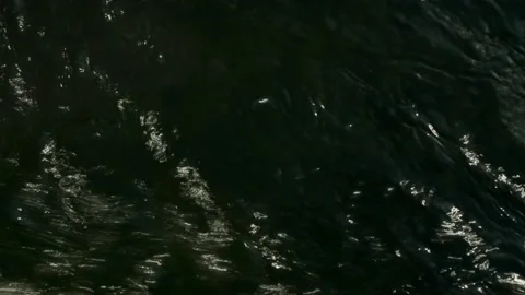 Stream Close Up Green Water Texture Stock Footage 155445591