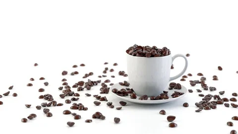 A stream of coffee beans fill the cup Stock Footage 77157908