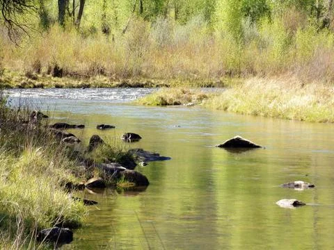 Stream in Colorado Foto stock