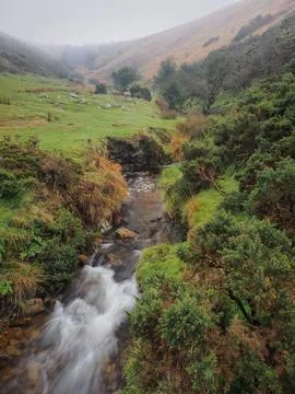 Stream coming down steep gulley into Meldon Reservoir, Dartmoor, UK Stock Photos