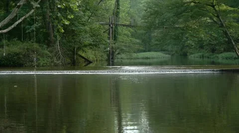 Stream in the country 動画素材 10571066