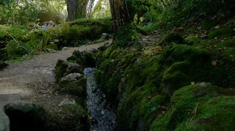 Stream in Country Stock Footage 33787062