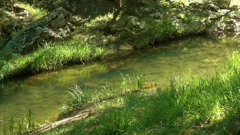 Stream in the countryside Stock Footage 112248523