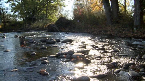 Stream with Covered Bridge 動画素材 52703793