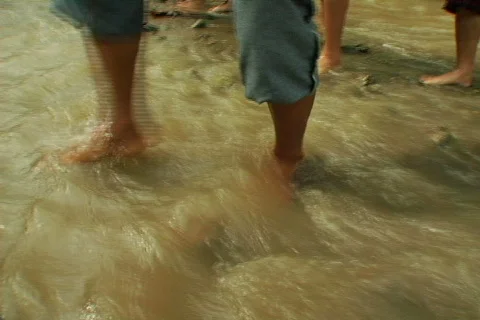 Stream crossing Stock Footage 490703