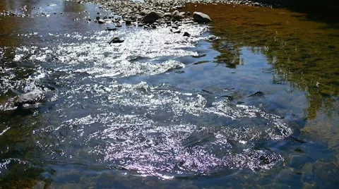 Stream of crystal clear water Stock Footage 46264405
