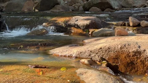 Stream current passes slowly between large stones, showing steady water movement Stock Footage 330174688