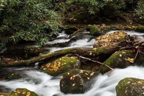 Stream with curved log deadfall, swift water, autumn leaves Foto stock