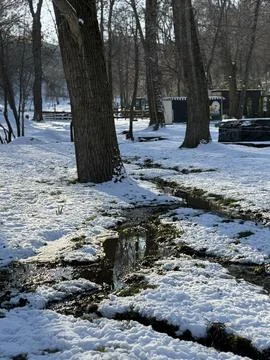 A Stream Cuts Through Snow-Covered Woods Stock Photos
