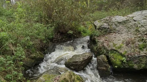 Stream in Czech Republic Stockbeeldmateriaal 44579876