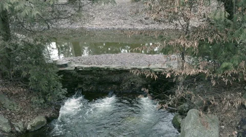Stream dam in the Park Stock Footage 60375355