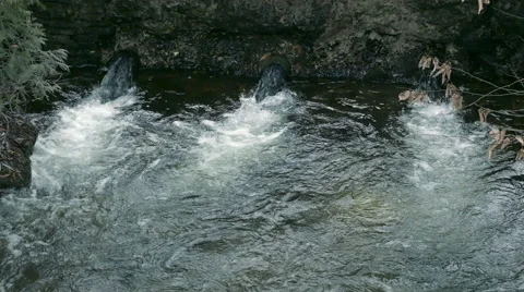 Stream dam in the Park 動画素材 60375527
