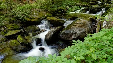Stream deep in the mountains. Foto stock