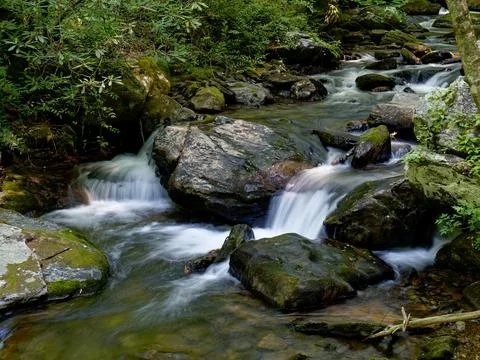 Stream deep in the mountains. 写真素材