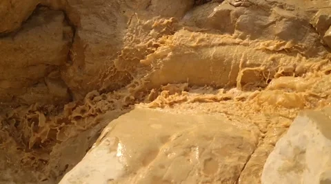 Stream in the Desert 스톡 동영상 58587068