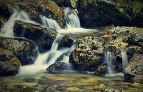 Stream detail Stock Photos
