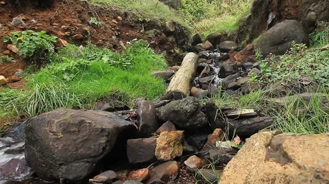 Stream dolly Stock Footage 1035815