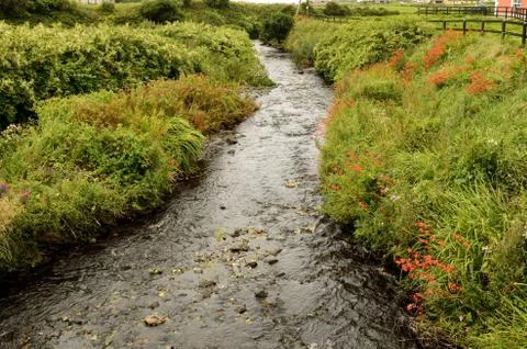 Stream in Doolin Stock Photos