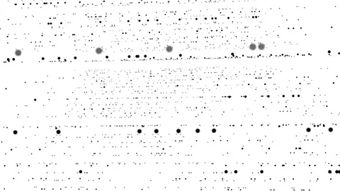 A stream of dots on a white background of 4k motion graphics. Dark objects on a Stock Footage 229491010