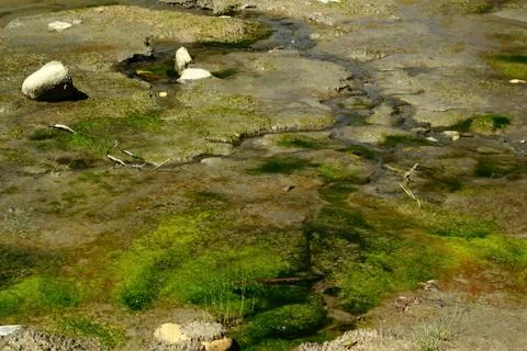 Stream drying up from drought Stock Photos