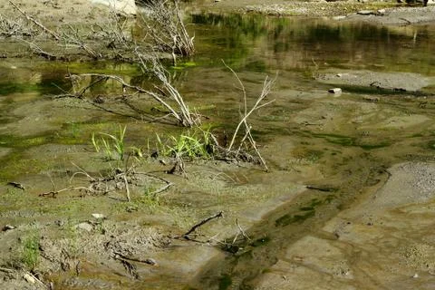 Stream drying up from heatwave Stock Photos
