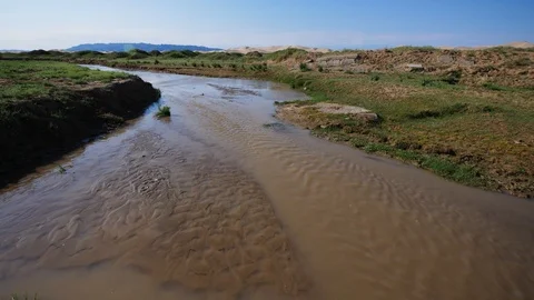 Stream with dunes in background Stock Footage 88517230