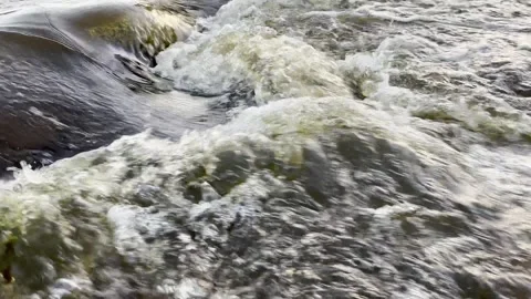 Stream in Dutch polder Video stock 255715934