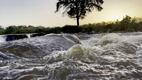 Stream in Dutch Polder Video stock 255716908