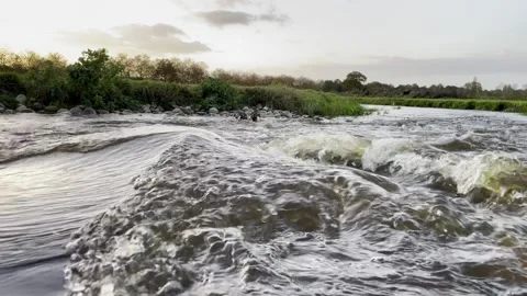 Stream in Dutch polder Video stock 255716995