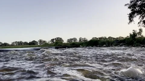 Stream in Dutch polder Video stock 255716997