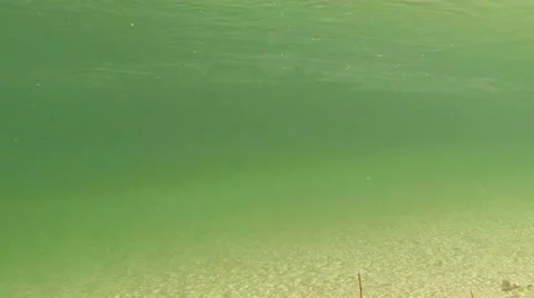 Stream-Ecology-Underwater-River Stock Footage 24792049