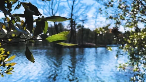 Stream Edit Stock Footage 151607555