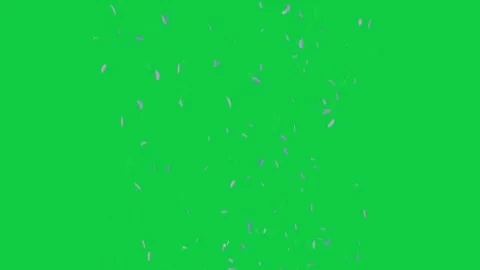 Stream entering top, lilac-white petals falling and forming column on Stock Footage 337506282