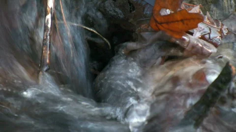 Stream Extreme Close Up Stock Footage 846147