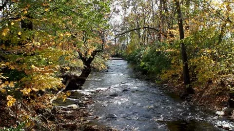 Stream In Fall Foliage Stock Footage 8973659