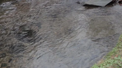 Stream in the fall 動画素材 88196676