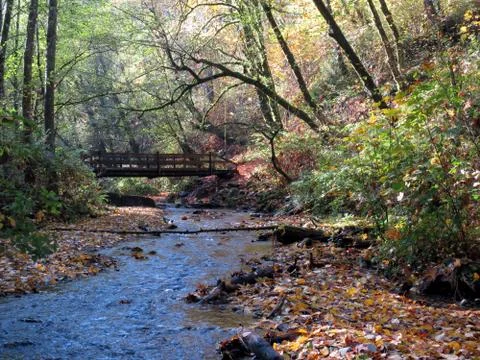 Stream in the Fall Stock Photos