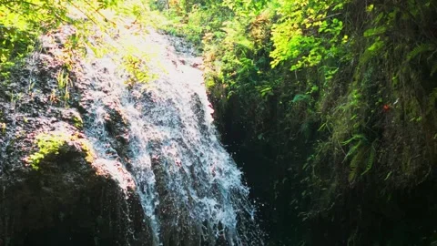 Stream falls at Dingjiabang 스톡 동영상 347506687