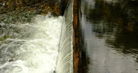 Stream Falls 스톡 동영상 172456698