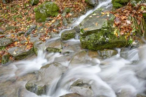 Stream feeding Lewis Spring Falls, Shenandoah National Park, Virginia Stock Photos