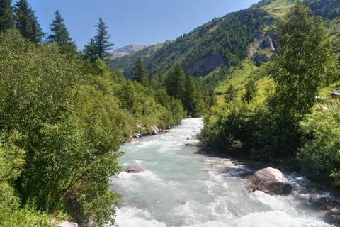 Stream in Ferret valley Stock Photos