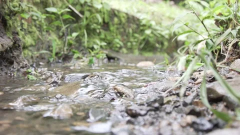 Stream in the field Stock Footage 166646040