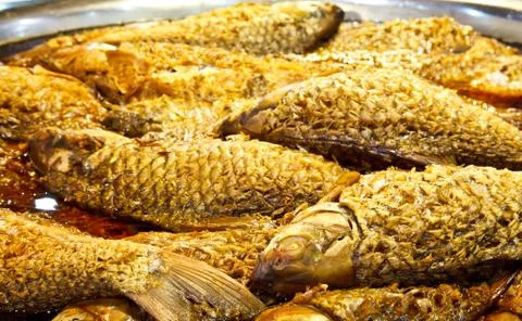 Stream  fish Stock Photos