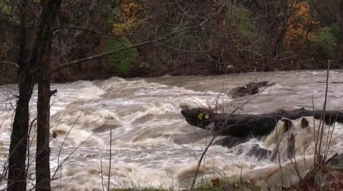 Stream flood footage #1 Stock Footage 565231
