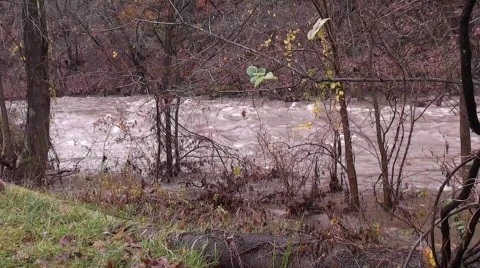 Stream flood footage #3 Stock Footage 565333