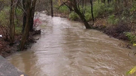 Stream flood footage #4 Stock Footage 565281