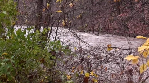 Stream flood footage #5 Stock Footage 565300