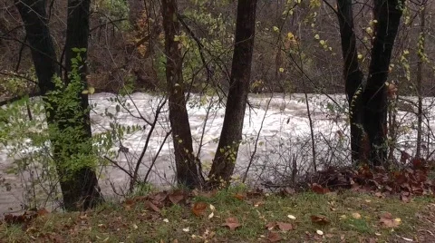 Stream flood footage #6 Stock Footage 565346