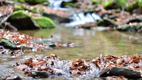 Stream flow calm relaxing 4k slow motion video of close up flowing clear wa.. Stock Footage 255292693